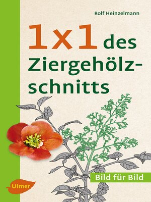 cover image of 1 x 1 des Ziergehölzschnitts